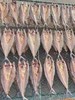 【大连知名特产】旅顺盐场老韩头，人送外号“鱼干王”，精选鲜鱼，用独特的方法晒出的鱼干，咸鲜适中，口感劲道，外干里嫩，鲜香美味。旅顺老韩头鳝鱼干/鲅鱼干/偏口鱼干，辽宁省内包邮 商品缩略图14