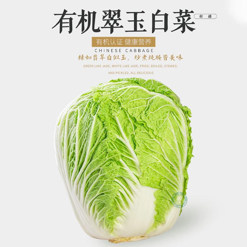 新疆有机翠玉大白菜/约8斤（±200g）【1颗、2颗随机发，不接受指定】