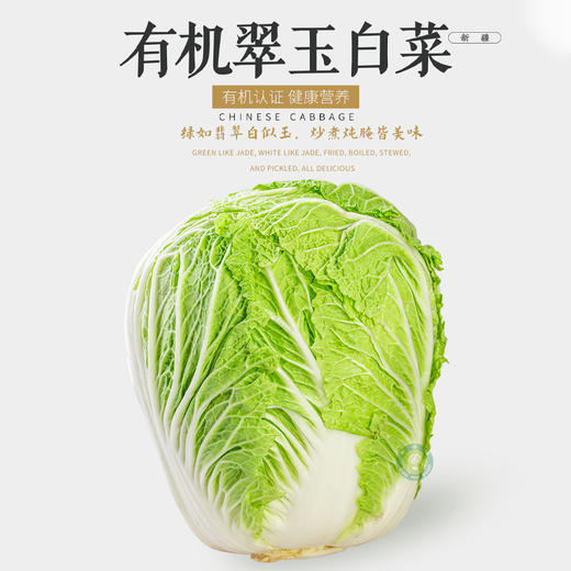 新疆有机翠玉大白菜/约8斤（±200g）【1颗、2颗随机发，不接受指定】 商品图0