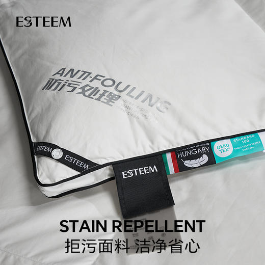 英伦玫瑰95白鹅绒被（夏/春秋/冬） 商品图3