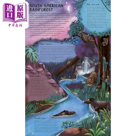 【中商原版】英文动物绘本 白天和夜间 探索地球白天和夜晚的栖息地 Daytime and Night time Explore the earths habitats 商品图2