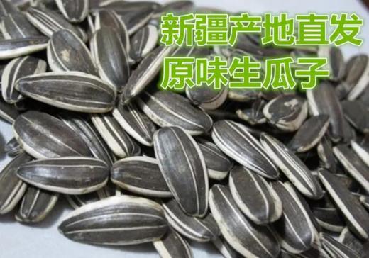 原味葵瓜子 新疆特产大瓜子500g/袋 坚果炒货休闲零食小吃  全国包邮 商品图5