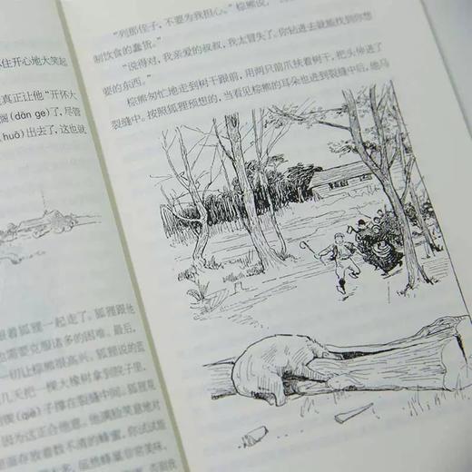 小学生阅读第二辑 《昆虫记》 商品图1