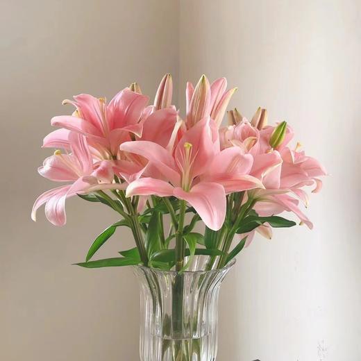 小粉仙多头亚百合5支 商品图4