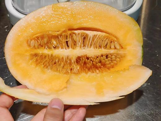 【预售】【活动上新】黄金蜜瓜，脆甜多汁、从心甜到皮~ 商品图5