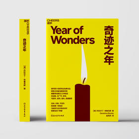 奇迹之年 普利策小说奖得主经典作品 荣登全球zui佳畅销书榜，被翻译成超过25种语言