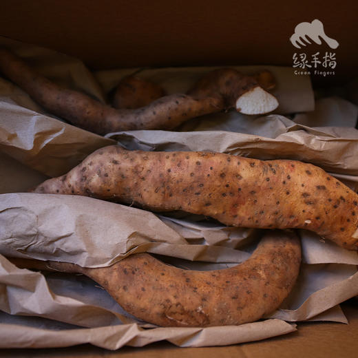 野生山药（河南）  | 合作生产 * Wild-Yam | Coproduction 商品图4