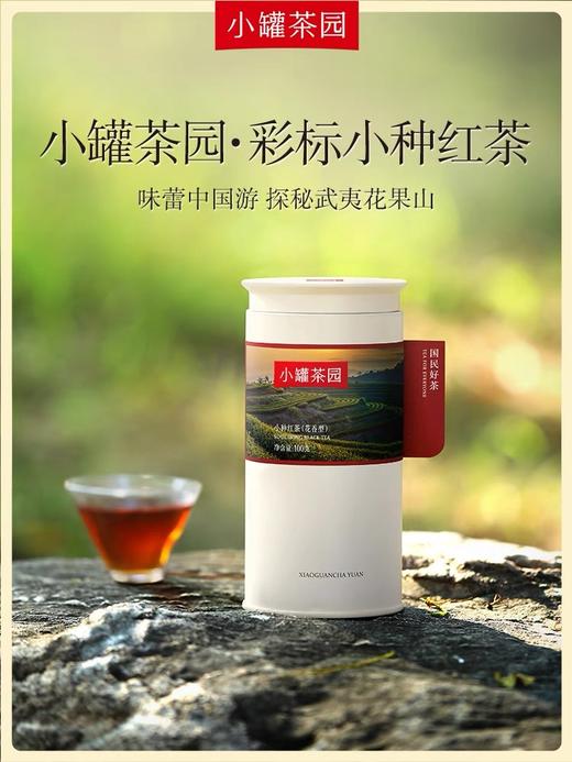 小罐茶园彩标系列 商品图2