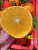 爱媛 果冻橙 新鲜【5斤】大号 商品缩略图0