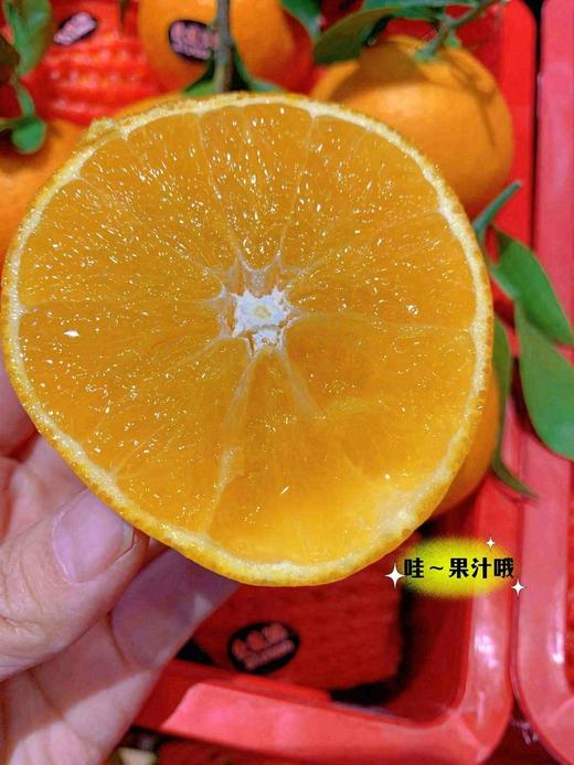 爱媛 果冻橙 新鲜【5斤】大号 商品图0