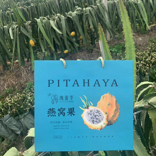 玫蜜萃燕窝果
始于颜值，忠于口感，魅于营养，燕窝果是真的很甜!它不仅甜，而且有着极其丰富的味觉层次~用舌尖抿开，享受独属于它的甜蜜的汁水暴击！大果，单果7两左右，4粒/箱 商品图4