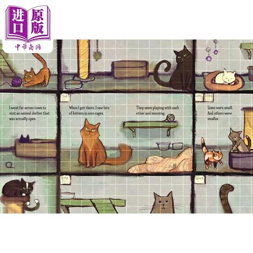 【中商原版】关于小猫的真实故事 Brittany Cicchese The Kitten Story A Mostly True Tale英文原版 动物故事绘本 精装进口 商品图4