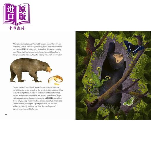 【中商原版】森林的秘密 Kristen Adam Secrets of the Forest 英文原版 科普绘本 知识故事书 精装百科绘本 进口儿童读物 商品图2