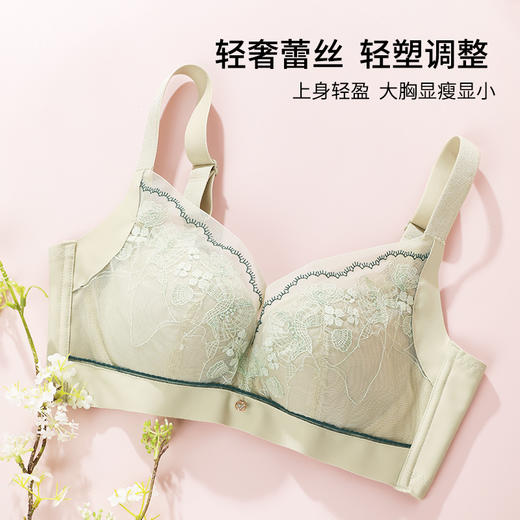 【商场同款】熳洁儿 大胸显小CD杯文胸蕾丝轻塑调整薄杯花境系列23701305 商品图1