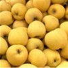 ✅ 新疆黄金维纳斯苹果 ，香甜可口，当季新品，时令水果 商品缩略图1