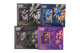 宝可梦 PTCG 集换式卡牌 一周年纪念 卡套礼盒