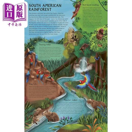 【中商原版】英文动物绘本 白天和夜间 探索地球白天和夜晚的栖息地 Daytime and Night time Explore the earths habitats 商品图1