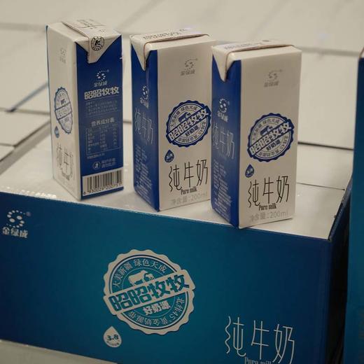² 【无忧牛新疆纯牛奶3.6g/3.8g】两款可选 每提200ml*10盒 黄金奶源带 奶味浓郁 HM02-CRMM-LY 商品图5