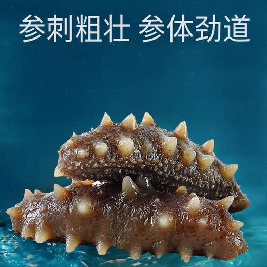 状元海有机海参 500g/袋 商品图1