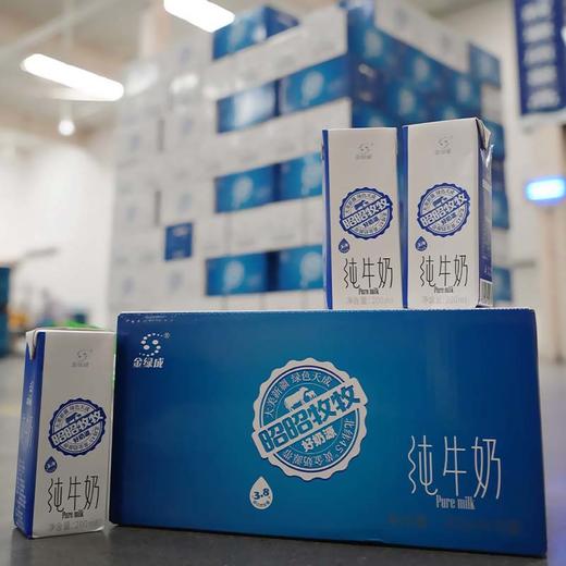 ² 【无忧牛新疆纯牛奶3.6g/3.8g】两款可选 每提200ml*10盒 黄金奶源带 奶味浓郁 HM02-CRMM-LY 商品图7
