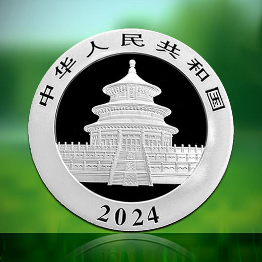 2024熊猫30克银币 商品图2