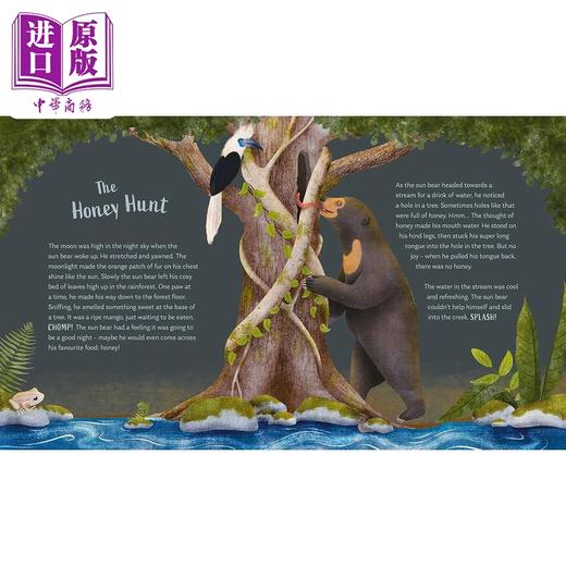 【中商原版】森林的秘密 Kristen Adam Secrets of the Forest 英文原版 科普绘本 知识故事书 精装百科绘本 进口儿童读物 商品图1