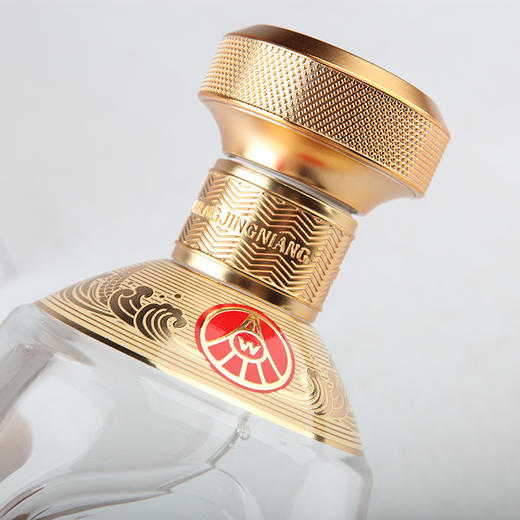 五粮液股份 送礼佳品  五粮精酿珍酿 浓香型固态法白酒  52度500ml*6瓶 商品图4