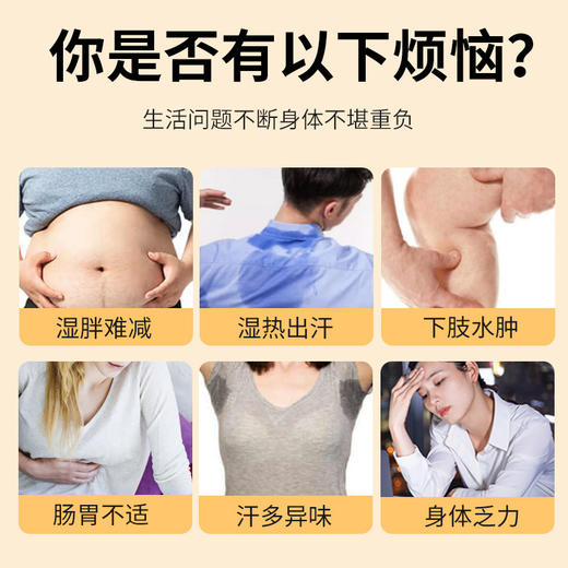 防己黄芪汤倪师推荐调理脾胃湿气防己甘草白术黄芪汤 商品图2