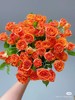 多头玫瑰橙芭比 商品缩略图0