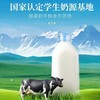 ² 【无忧牛新疆纯牛奶3.6g/3.8g】两款可选 每提200ml*10盒 黄金奶源带 奶味浓郁 HM02-CRMM-LY 商品缩略图10
