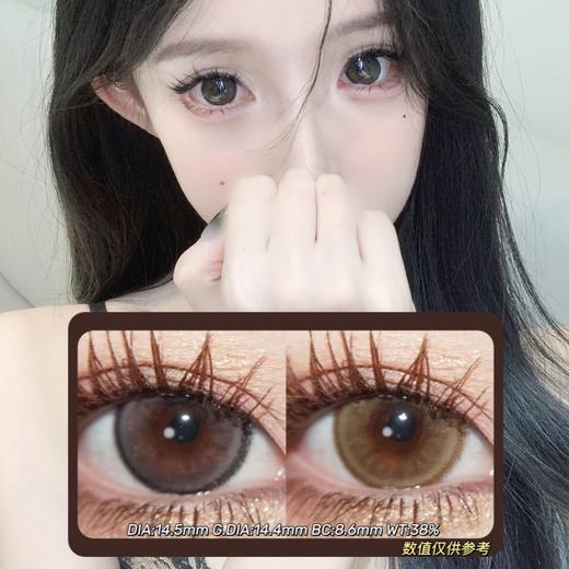 AgensColor年抛·白檀雪松灰&香草雪松棕·14.5mm(着色参考14.4mm) 0-1000度(无525/575) 韩产进口·(建议佩戴6-8个月左右更换) 商品图0