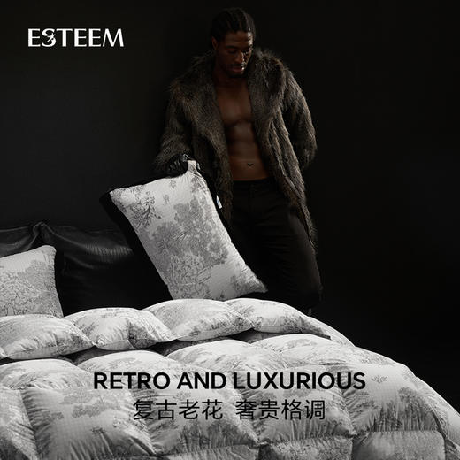 守望者可水洗95鹅绒四季被 商品图2