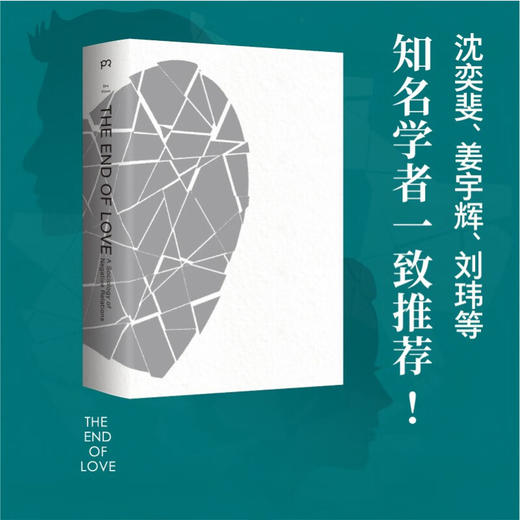 爱的终结 伊娃·易洛思 著 婚恋与两性 商品图2