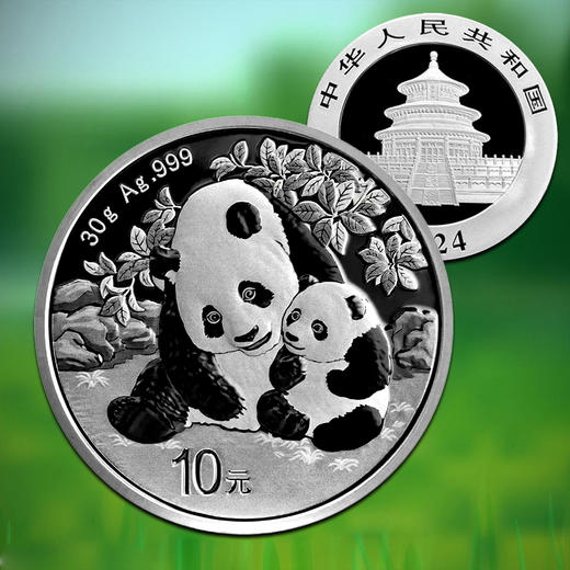 2024熊猫30克银币 商品图0