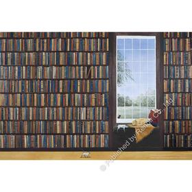 解忧书房/1008片