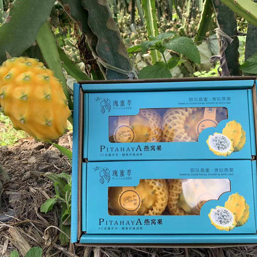 玫蜜萃燕窝果
始于颜值，忠于口感，魅于营养，燕窝果是真的很甜!它不仅甜，而且有着极其丰富的味觉层次~用舌尖抿开，享受独属于它的甜蜜的汁水暴击！大果，单果7两左右，4粒/箱 商品图3