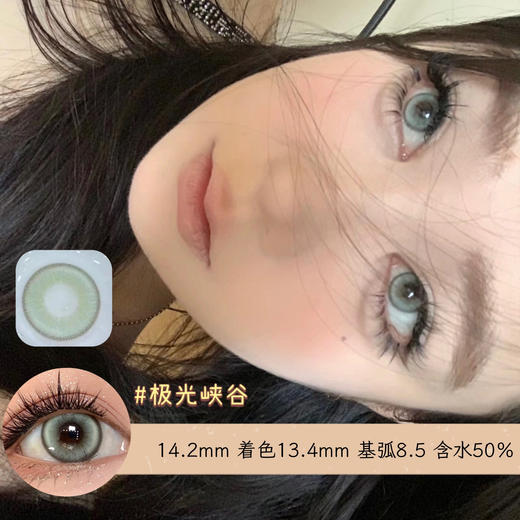 【日抛色板】recolook  | 【多盒购买更划算,选款完整色板在详情页】，极地零度 极光峡谷 克拉灰 普拉棕 商品图3