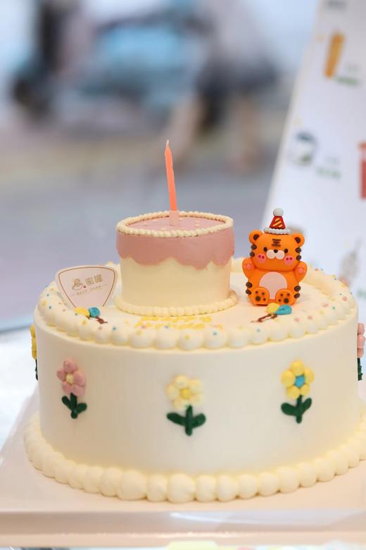 守护我的蛋糕 商品图0