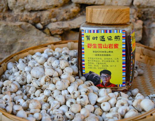 雪山野生贝母 商品图5