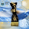 阿根廷国家队官方商品 |金球纪念围巾梅西金球奖世界杯夺冠 商品缩略图3