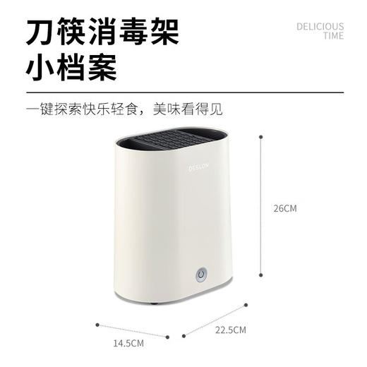 德世朗博堡 消毒刀架 小型筷子勺子刀具分类消毒除霉 防霉烘干一体机 106DDQ-QT806 商品图6