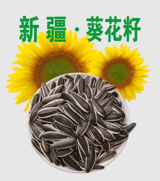 原味葵瓜子 新疆特产大瓜子500g/袋 坚果炒货休闲零食小吃  全国包邮 商品图4