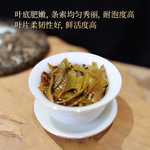 尚礼村2023年拾叁宗传普洱生茶357g 商品图3