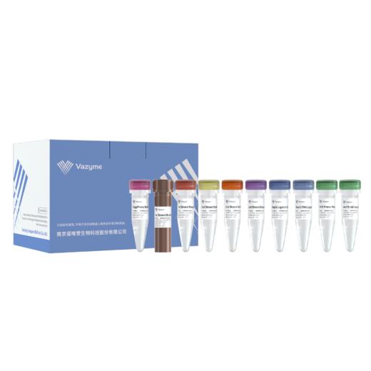 VAHTS Universal V10 RNA-seq Library Prep Kit for MGI 商品图0