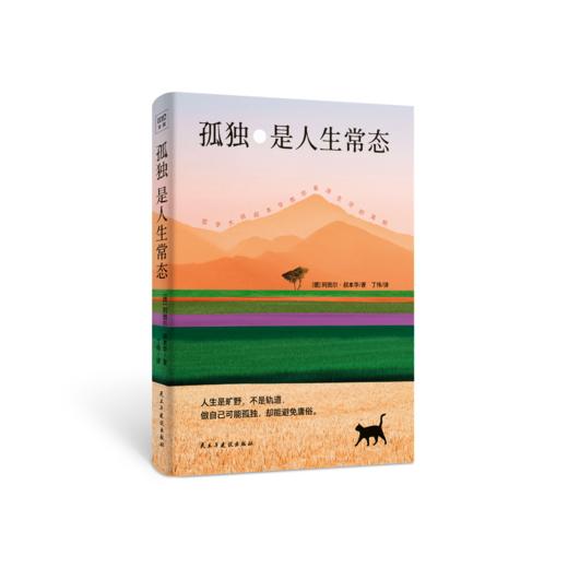 孤独是人生常态：德国著名哲学家、毒舌大师叔本华教你看清生活真相 商品图1