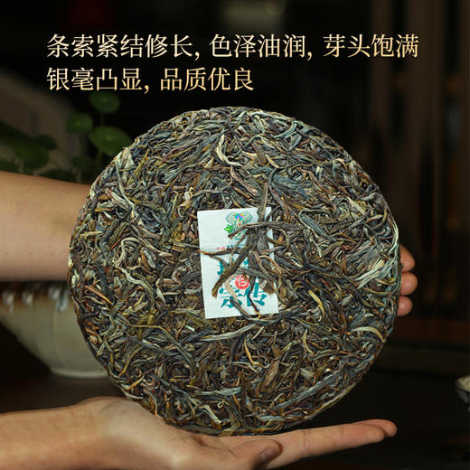尚礼村2023年拾叁宗传普洱生茶357g 商品图1