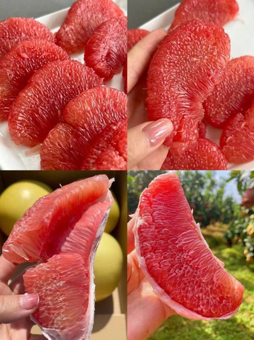 Dole都乐红心蜜柚🤩，口感清甜，肉质饱满 细腻爽口，缓解干燥，滋养润肺，清火解油腻补水，减肥降三高理想水果！毛10斤，4颗 商品图1