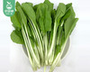 【叼鲜蔬】有艺田新鲜小白菜/1份（约350g） 商品缩略图2