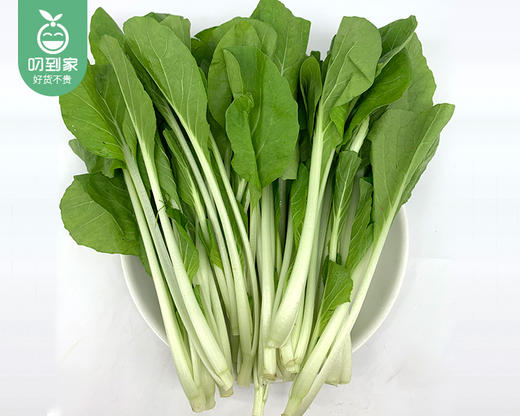 【叼鲜蔬】有艺田新鲜小白菜/1份（约350g） 商品图2