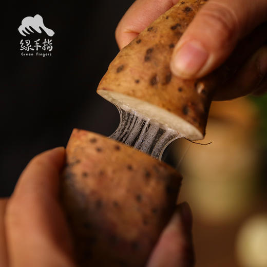 野生山药（河南）  | 合作生产 * Wild-Yam | Coproduction 商品图0
